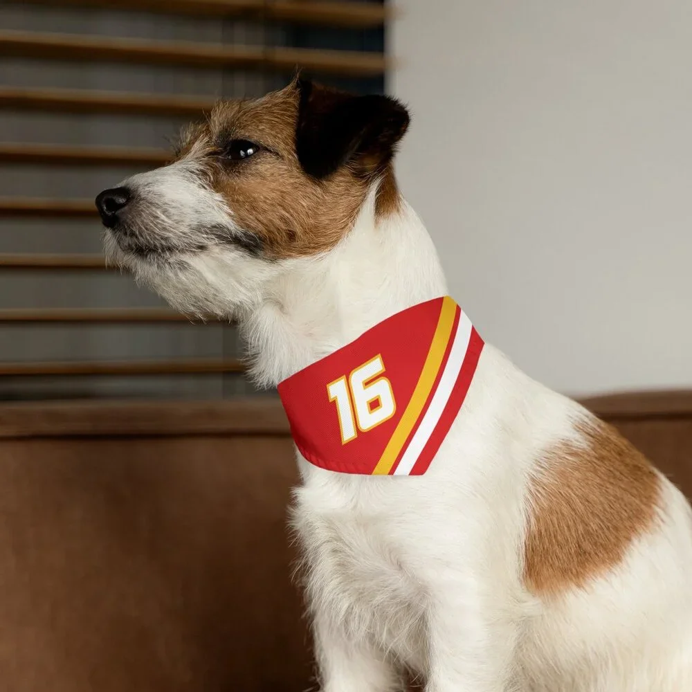 Charles Leclerc Dog Bandana - Ferrari F1 Dog Collar